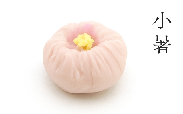 和菓子と暦
